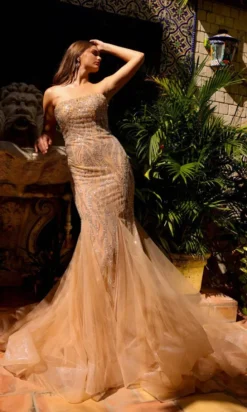 Amelia Couture Long Formal Dress ac0015