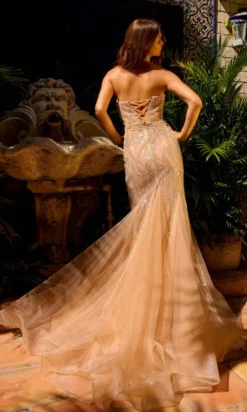 Amelia Couture Long Formal Dress ac0015