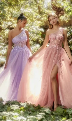 Andrea & Leo Long Formal Dress A1140