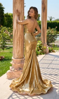 Atria Long Formal Dress 6854h