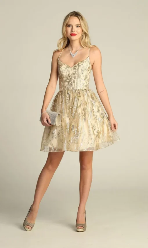 Chicas Short Party Dress c317
