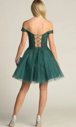 Chicas Short Party Dress c318