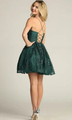 Chicas Short Party Dress c317
