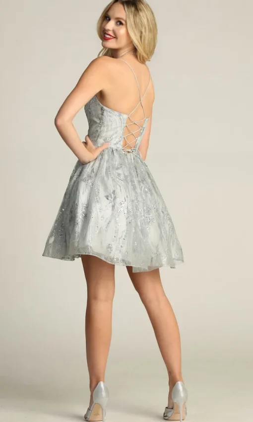 Chicas Short Party Dress c317