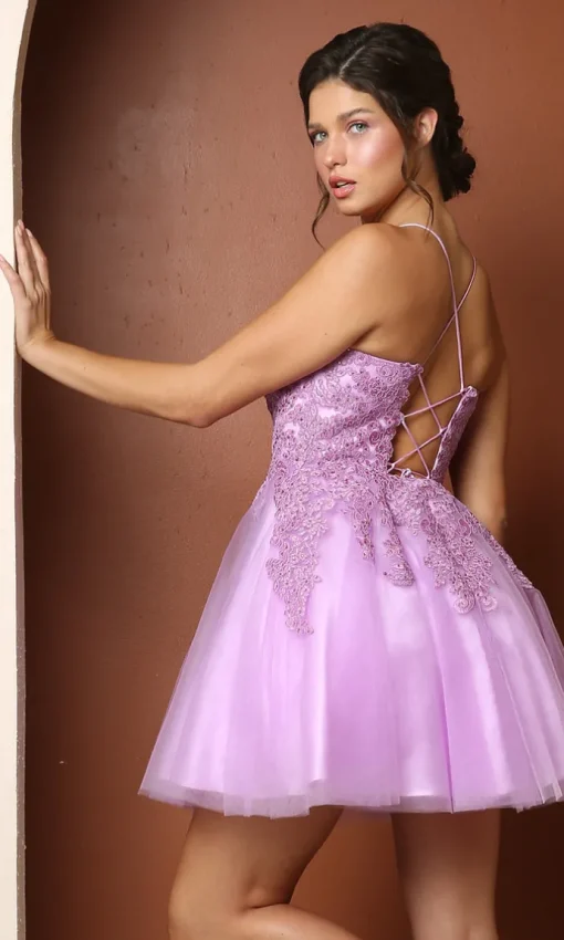 Corset-Back Short A-Line Baby Doll Hoco Dress