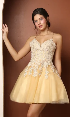 Corset-Back Short A-Line Baby Doll Hoco Dress