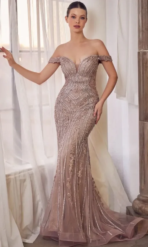 Formal Long Dress A1257 By Andrea and Leo