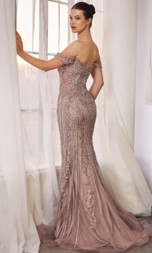 Formal Long Dress A1257 By Andrea and Leo