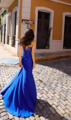 Formal Long Dress A1382 By Nox Anabel