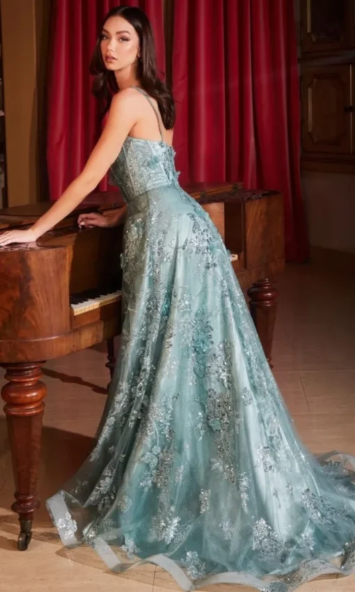 Formal Long Dress Cb144 by Ladivine