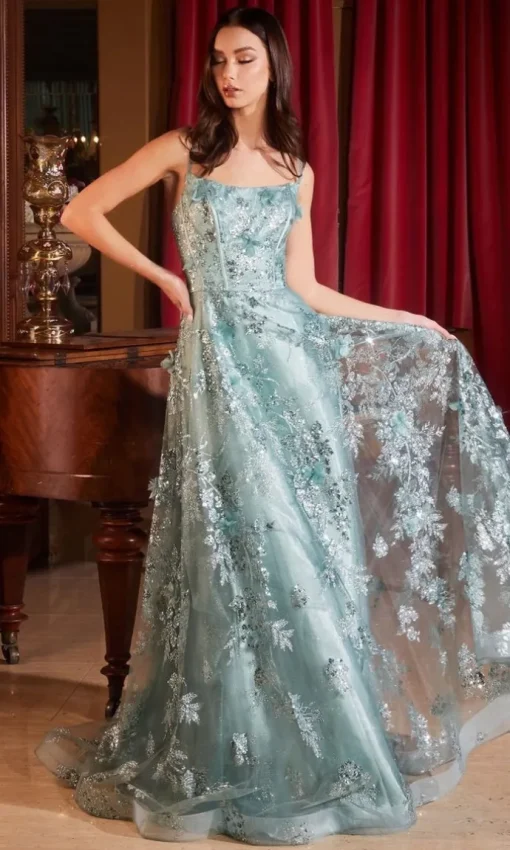 Formal Long Dress Cb144 by Ladivine
