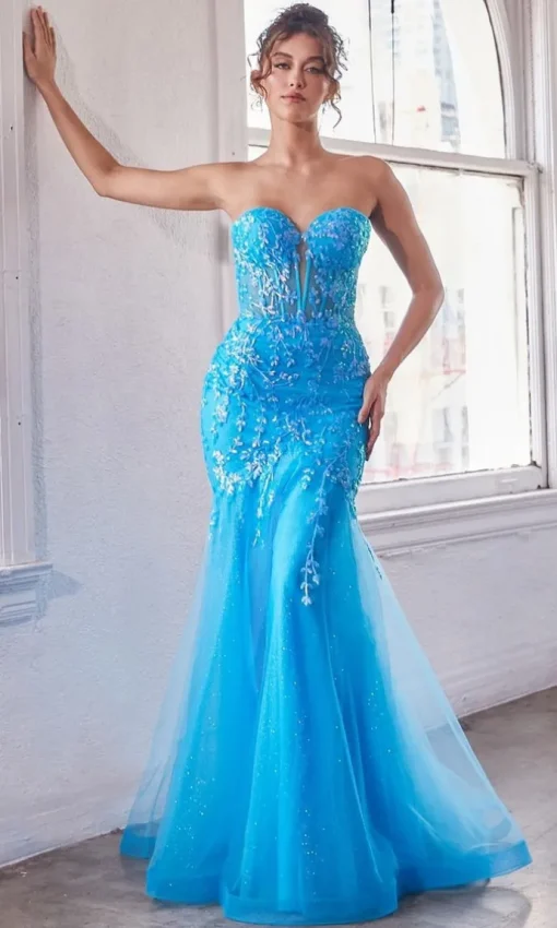 Formal Long Dress CB139 By Ladivine