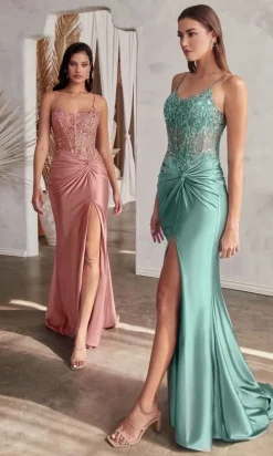 Formal Long Dress CD0176 By Ladivine