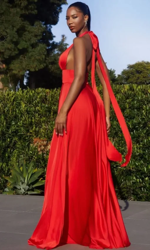Formal Long Dress CD323 By Ladivine