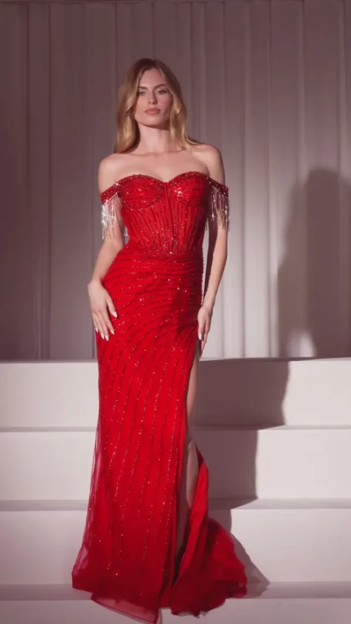 Formal Long Dress CD848 By Ladivine