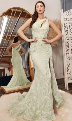 Formal Long Dress CD973 By Ladivine