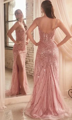 Formal Long Dress CD0220 By Ladivine