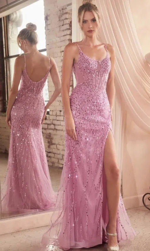 Formal Long Dress CD0220 By Ladivine