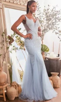 Formal Long Dress Cr874 by Ladivine