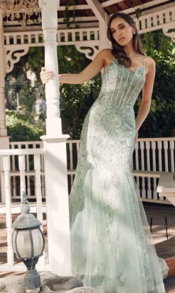 Juliet Long Formal Dress jt2441s
