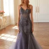 Juliet Long Formal Dress jt2883c