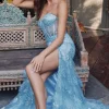 Juliet Long Formal Dress jt2455k