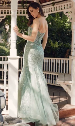 Juliet Long Formal Dress jt2441s