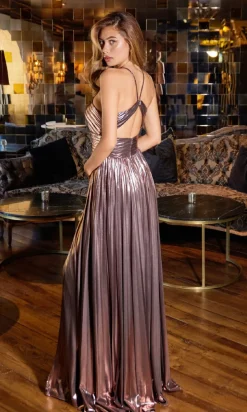 Juliet Long Formal Dress jt2503a