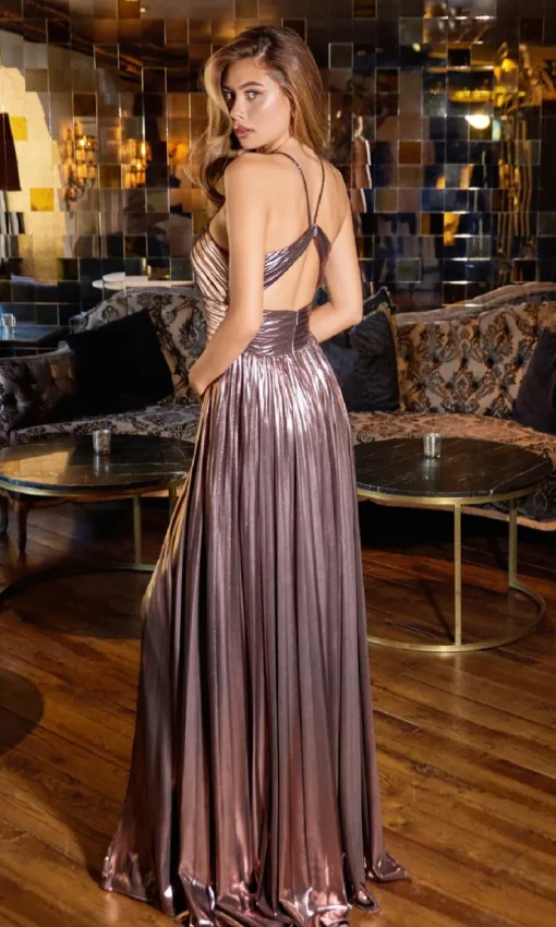 Juliet Long Formal Dress jt2503a