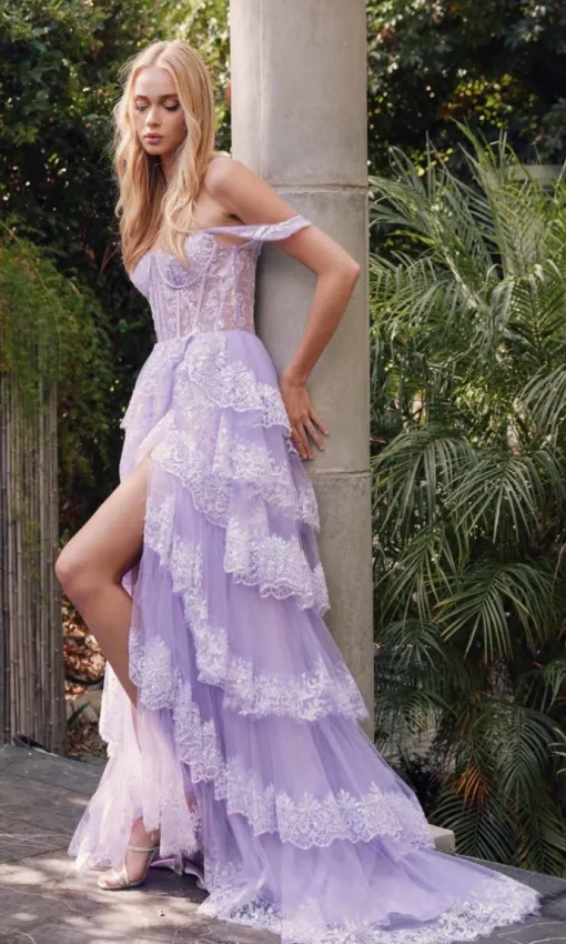 Juliet Long Formal Dress jt2467k