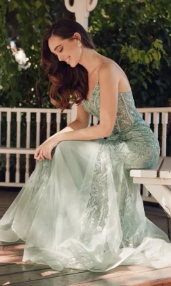 Juliet Long Formal Dress jt2441s