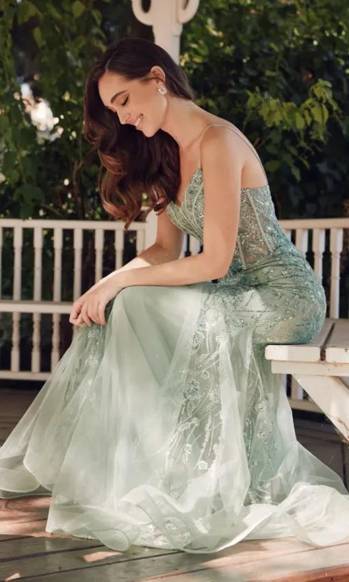 Juliet Long Formal Dress jt2441s