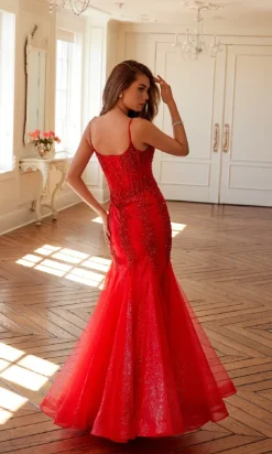 Juliet Long Formal Dress jt2883c