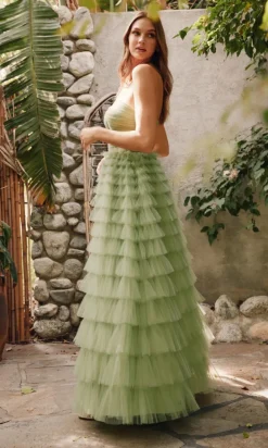 Juliet Long Formal Dress JT2456H