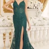 Lace Formal Gown with Sheer Bodice C1100