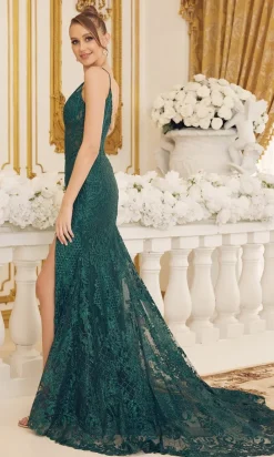 Lace Formal Gown with Sheer Bodice C1100