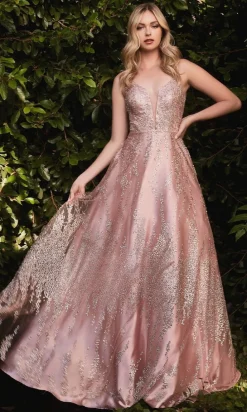 Ladivine Long Formal Dress j819