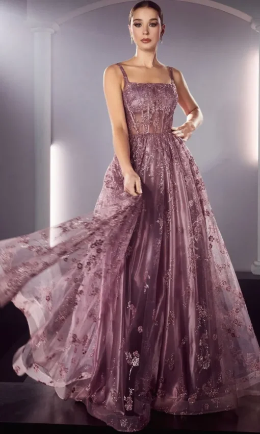 Ladivine Long Formal Dress j840