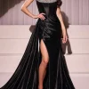 Ladivine Long Formal Dress CDS526