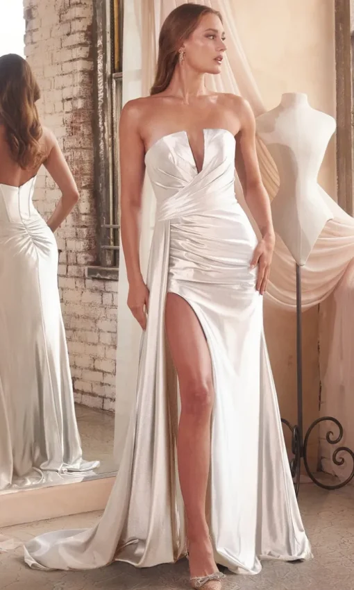 Ladivine Long Formal Dress CDS441W