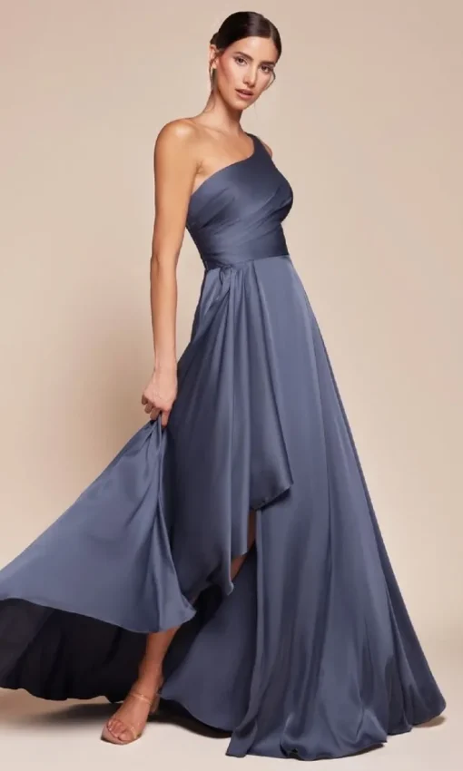 Ladivine Long Formal Dress 7450