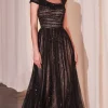 Ladivine Long Formal Dress CD0238