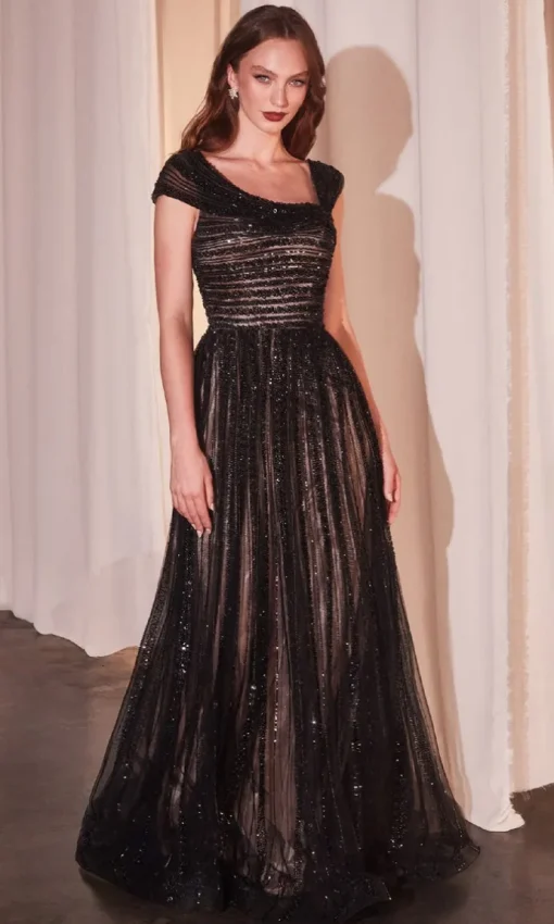 Ladivine Long Formal Dress CD0238