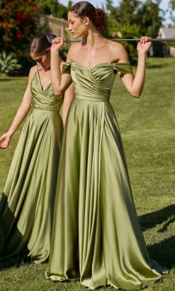 Ladivine Long Formal Dress 7493-1