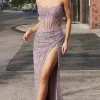 Ladivine Long Formal Dress C164