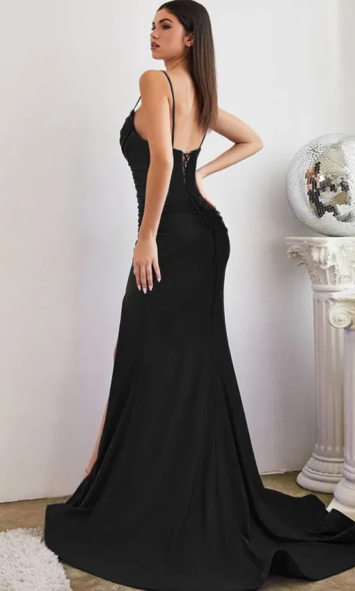 Ladivine Long Formal Dress CD888