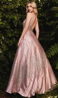 Ladivine Long Formal Dress j819