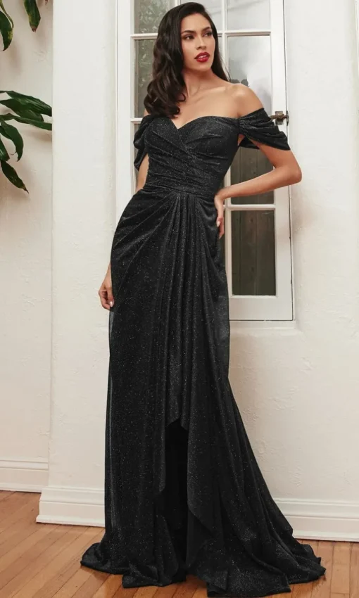 Ladivine Long Formal Dress cd878