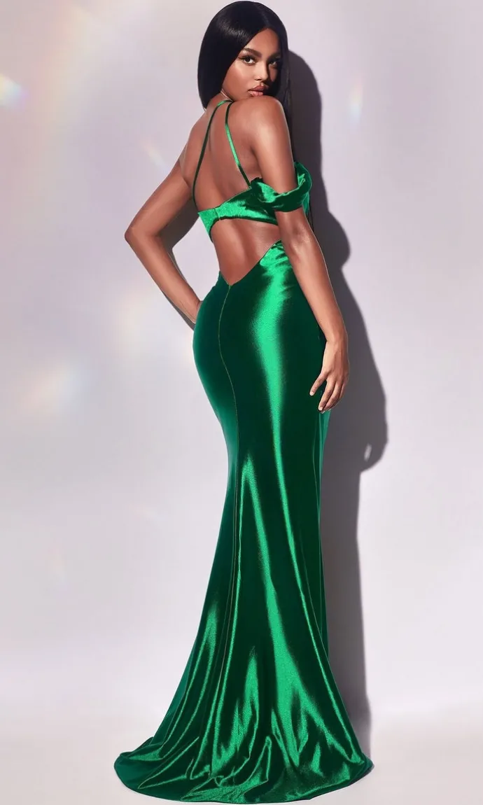 Ladivine Long Formal Dress y025