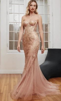 Ladivine Long Formal Dress CB116